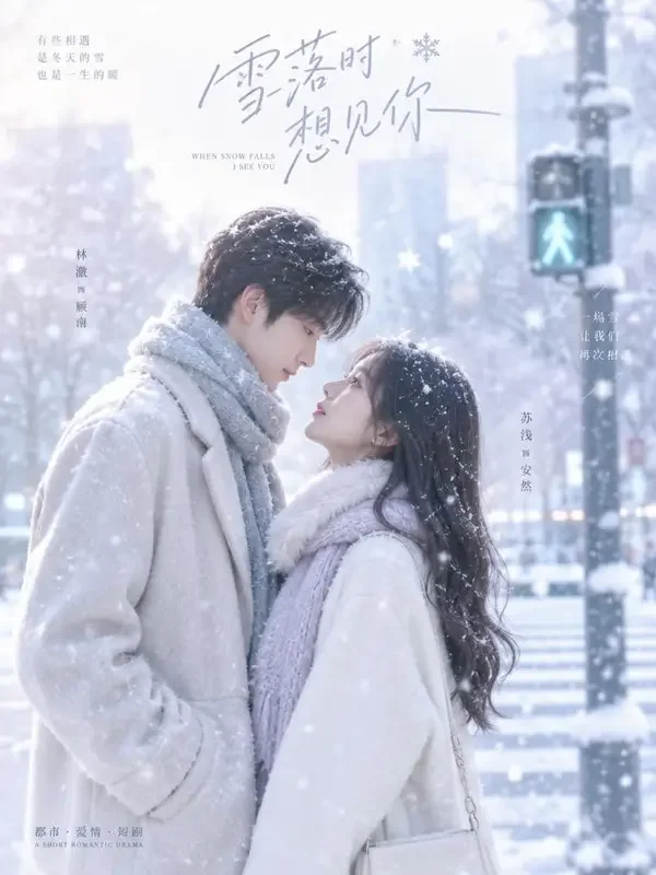 短剧《寒冬吻过的雪》封面海报